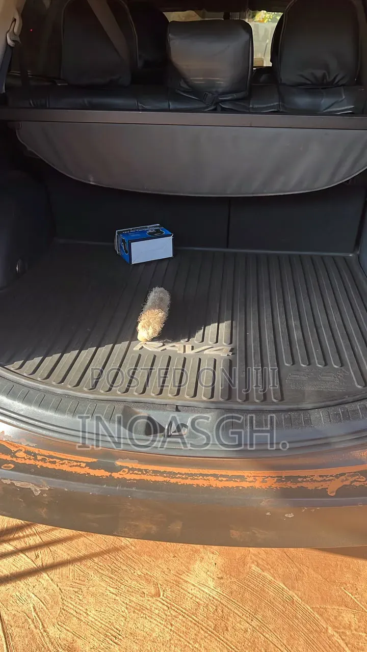 Toyota RAV4 LE 4dr SUV AWD (2.5L 4cyl 6A) 2015 Gray