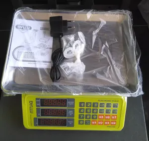 Electronic Scale