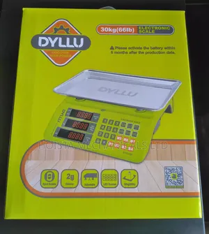 Electronic Scale