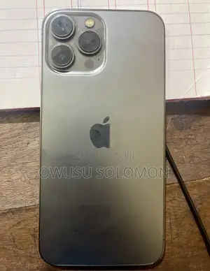 Apple iPhone 13 Pro Max 256 GB Gray