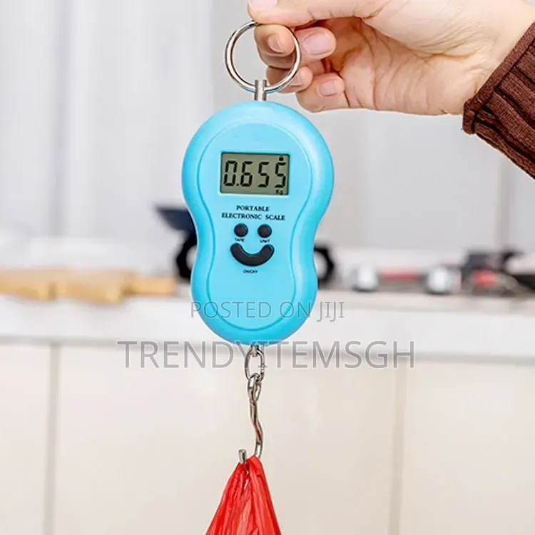Portable Digital Hanging Scale 50kg