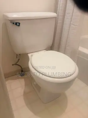 Professional Plumbing Solutions