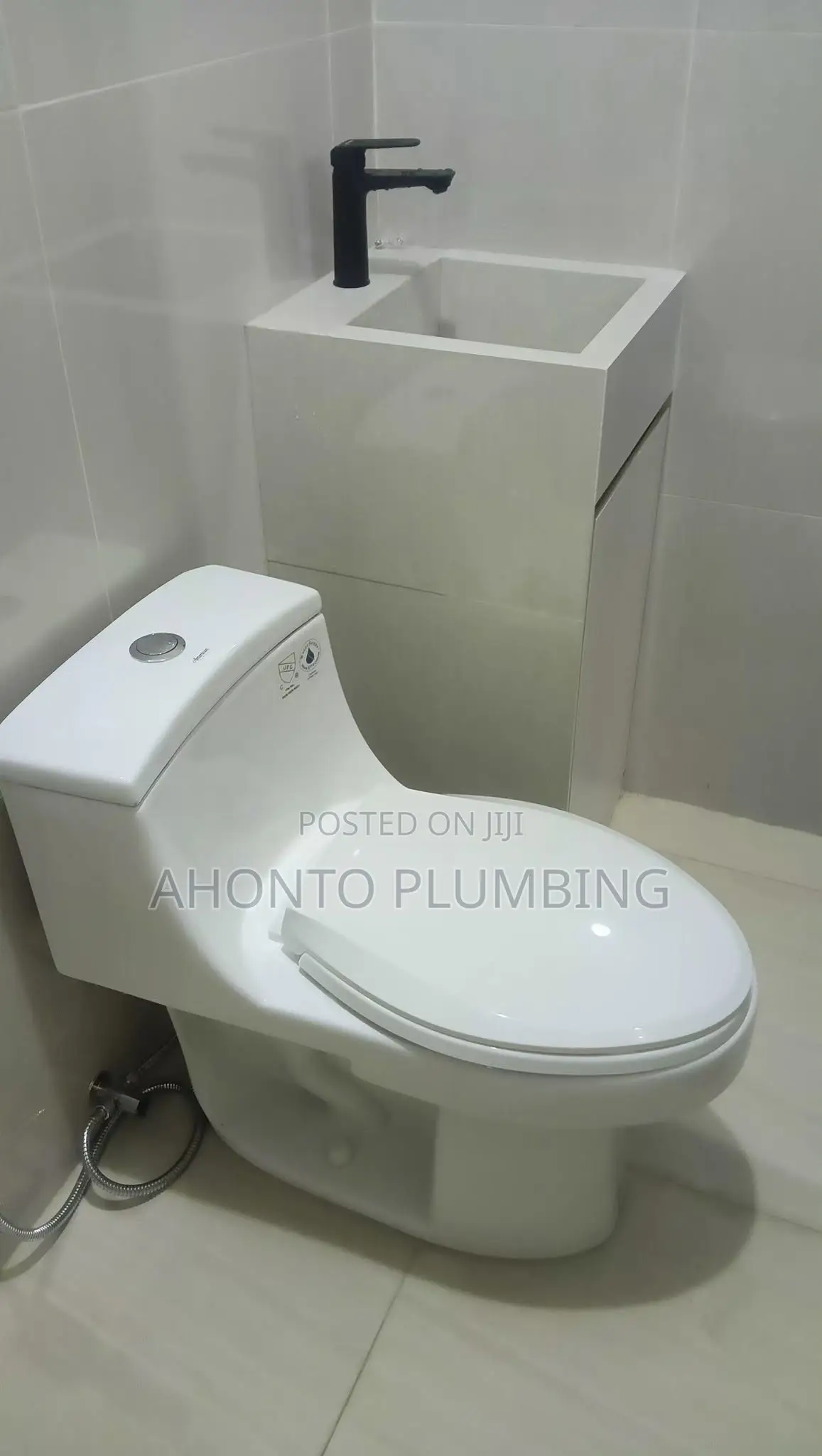 Professional Plumbing Solutions