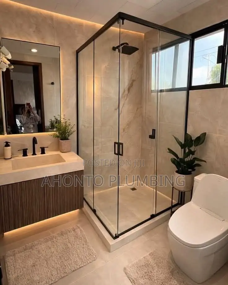 Professional Plumbing Solutions