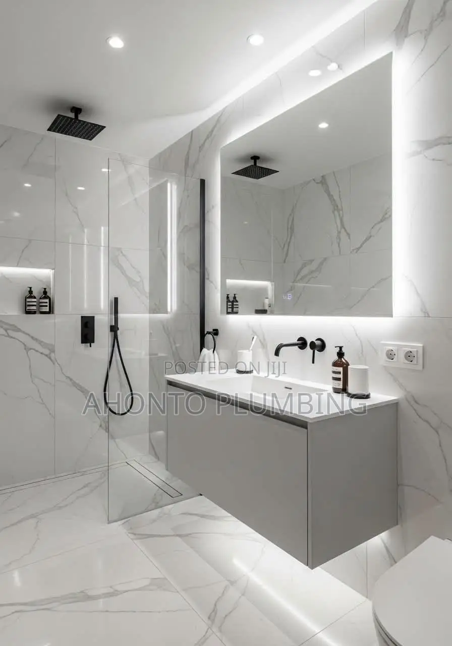 Professional Plumbing Solutions