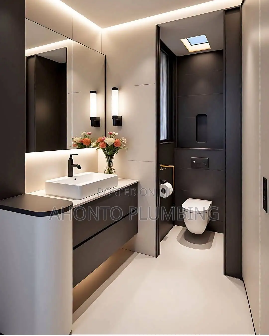 Professional Plumbing Solutions