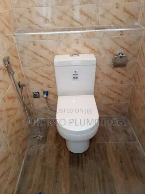 Professional Plumbing Solutions