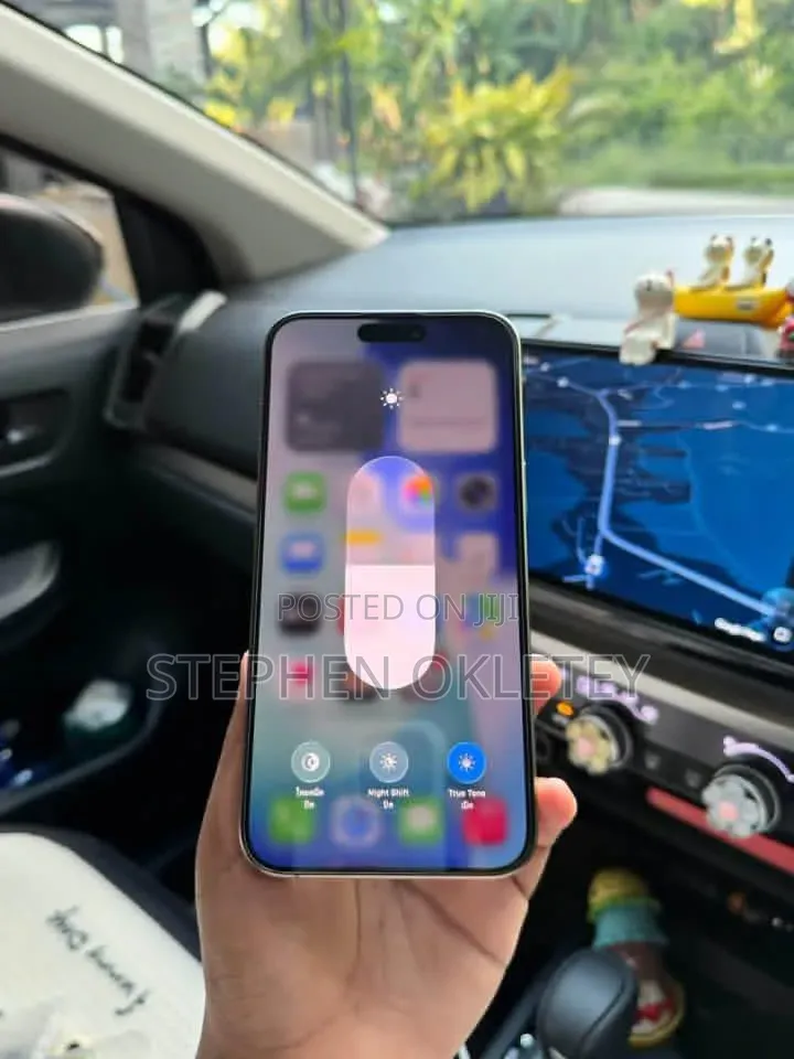 Apple iPhone 15 Pro Max 256 GB Silver