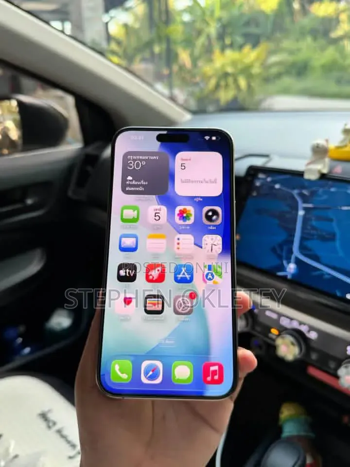 Apple iPhone 15 Pro Max 256 GB Silver
