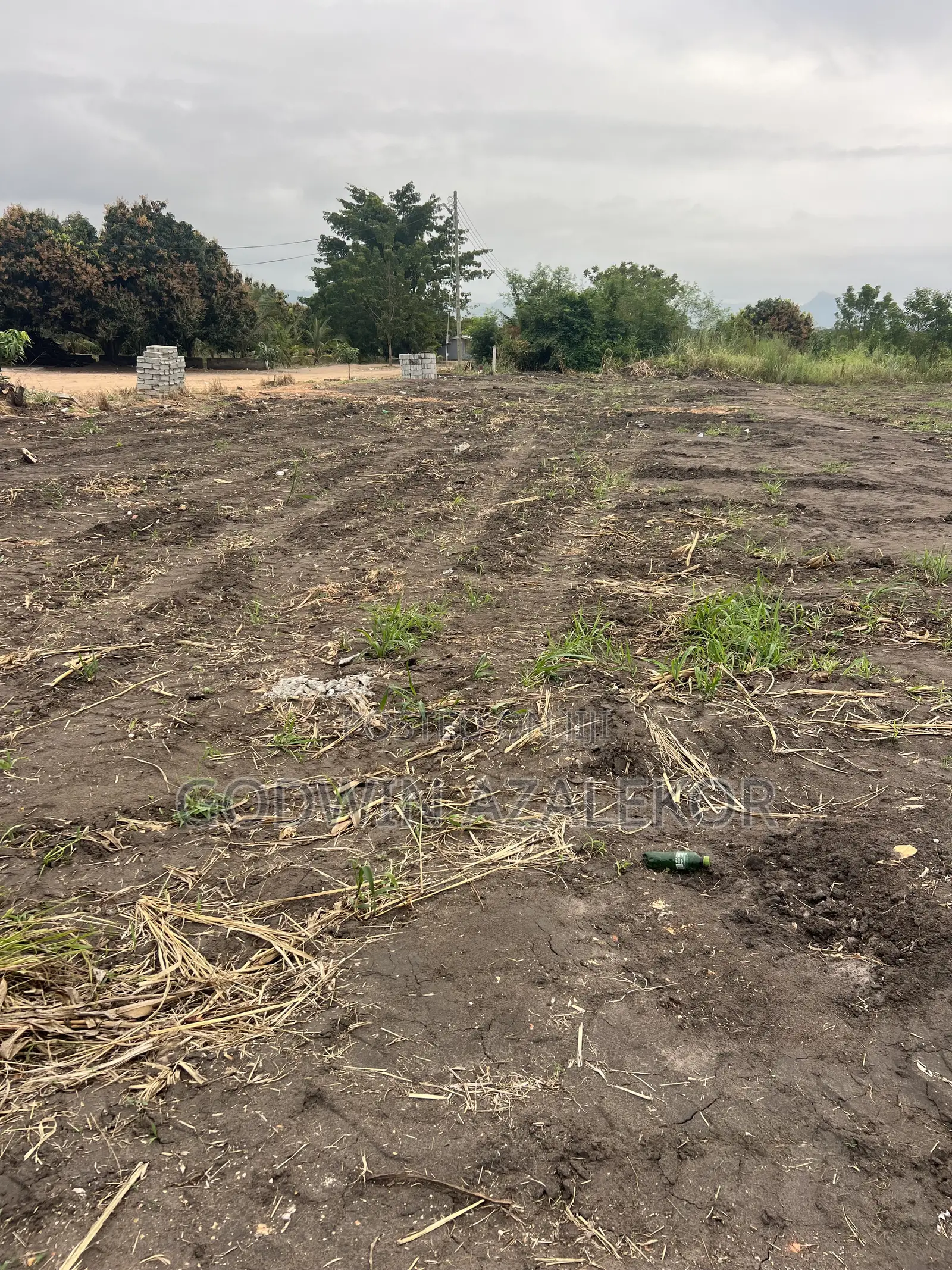 Land for Sale at SOMANYA , DVLA Area