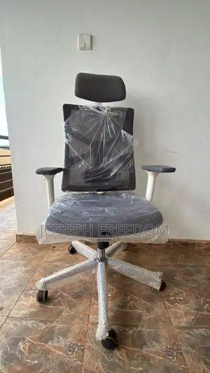 Premium Ergonomic Executive Office Chair With Adjustable Armrests