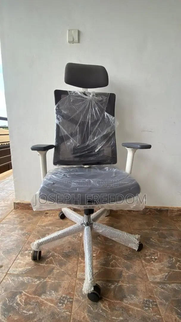 Premium Ergonomic Executive Office Chair With Adjustable Armrests