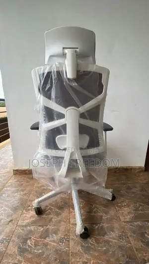 Premium Ergonomic Executive Office Chair With Adjustable Armrests