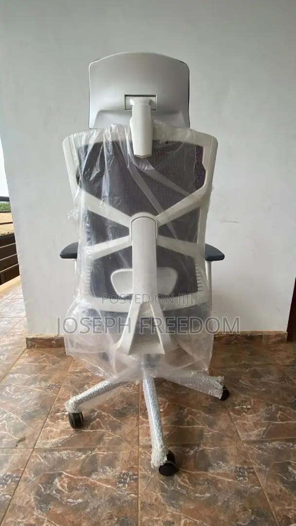 Premium Ergonomic Executive Office Chair With Adjustable Armrests