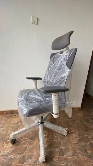 Premium Ergonomic Executive Office Chair With Adjustable Armrests
