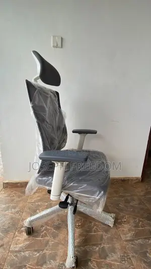 Premium Ergonomic Executive Office Chair With Adjustable Armrests