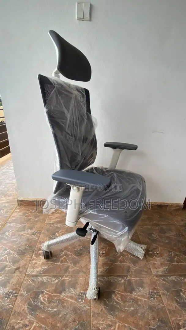Premium Ergonomic Executive Office Chair With Adjustable Armrests