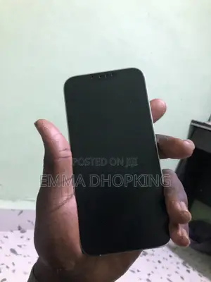 Apple iPhone 13 Pro Max 256 GB White