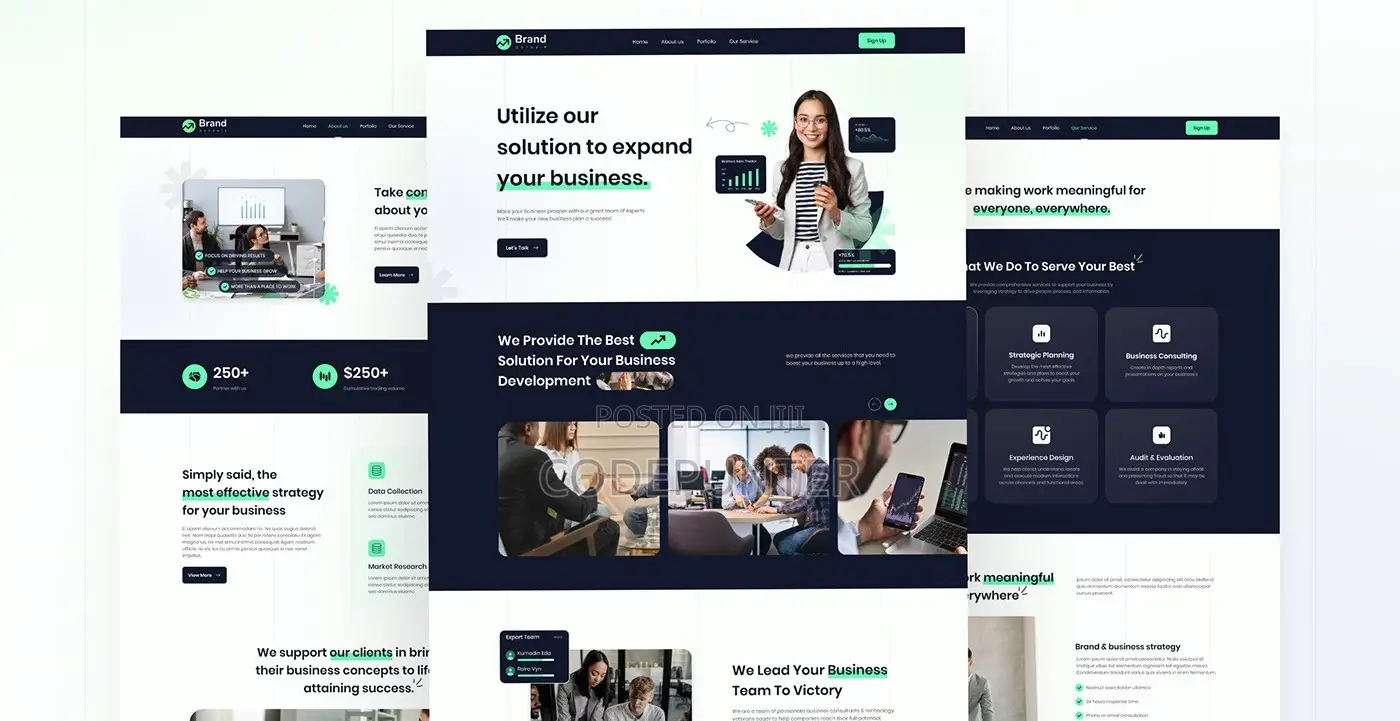 Professional Business Website Landing Page Design