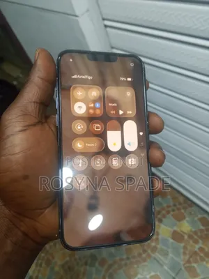Apple iPhone 13 Pro Max 128 GB Gray
