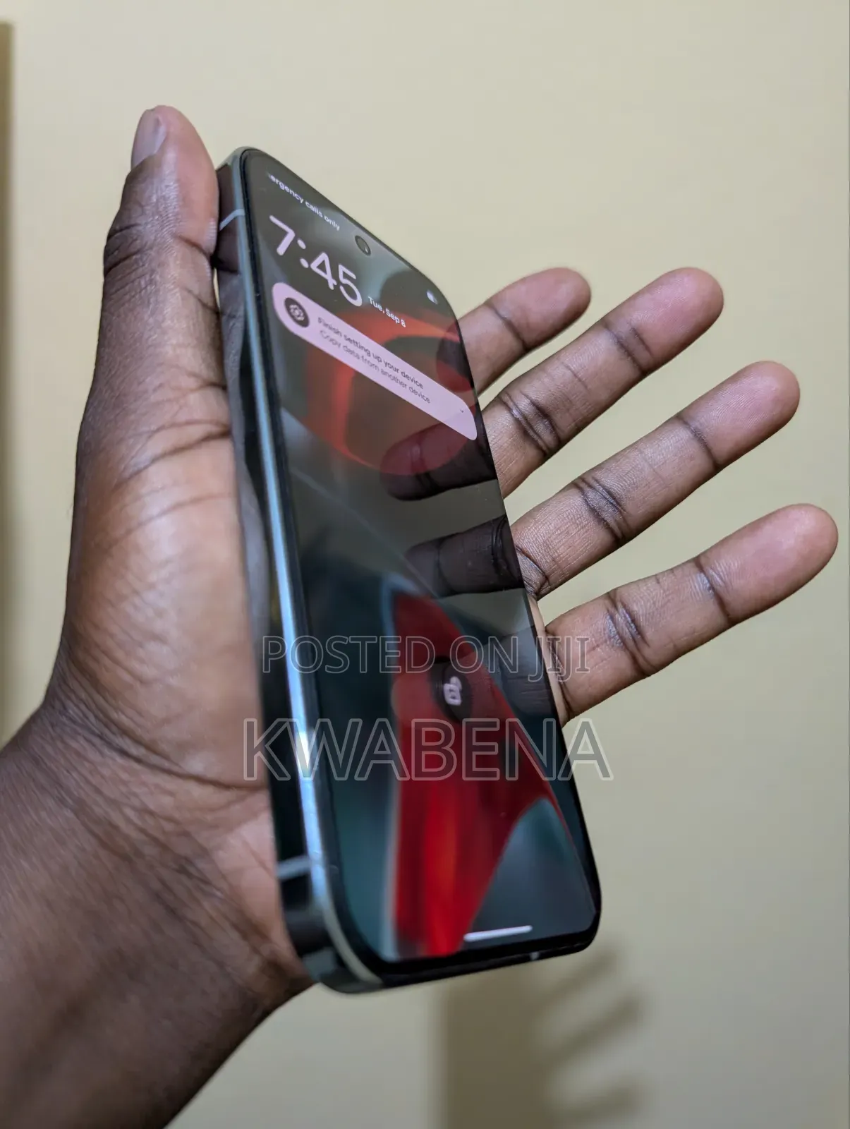 Google Pixel 9 Pro 256 GB Gray