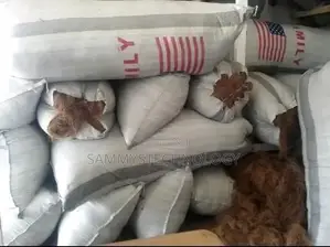 Treated Fiber