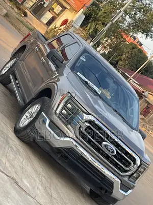 Ford F-150 2022 Gray