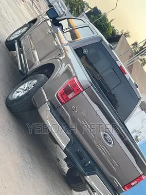 Ford F-150 2022 Gray