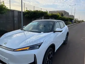 New Dongfeng Rich 7 2025 White