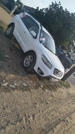 Hyundai Santa Fe 2007 White