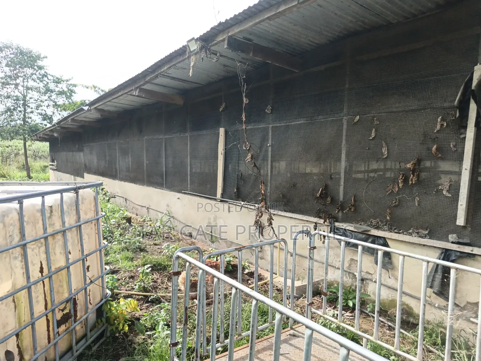 Poultry Farm Pig Farm for Sale ( 7 Acres Land)