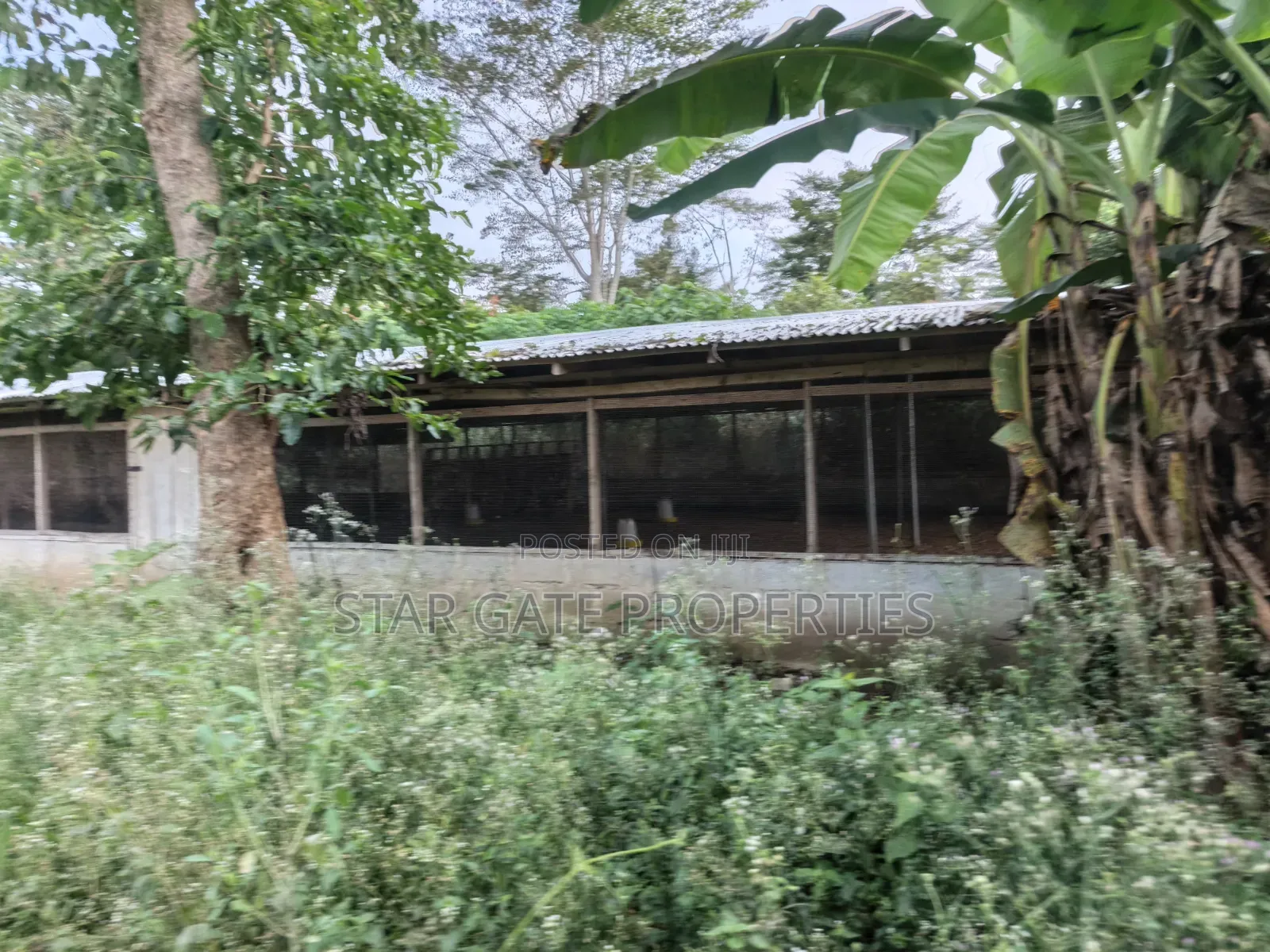 Poultry Farm Pig Farm for Sale ( 7 Acres Land)