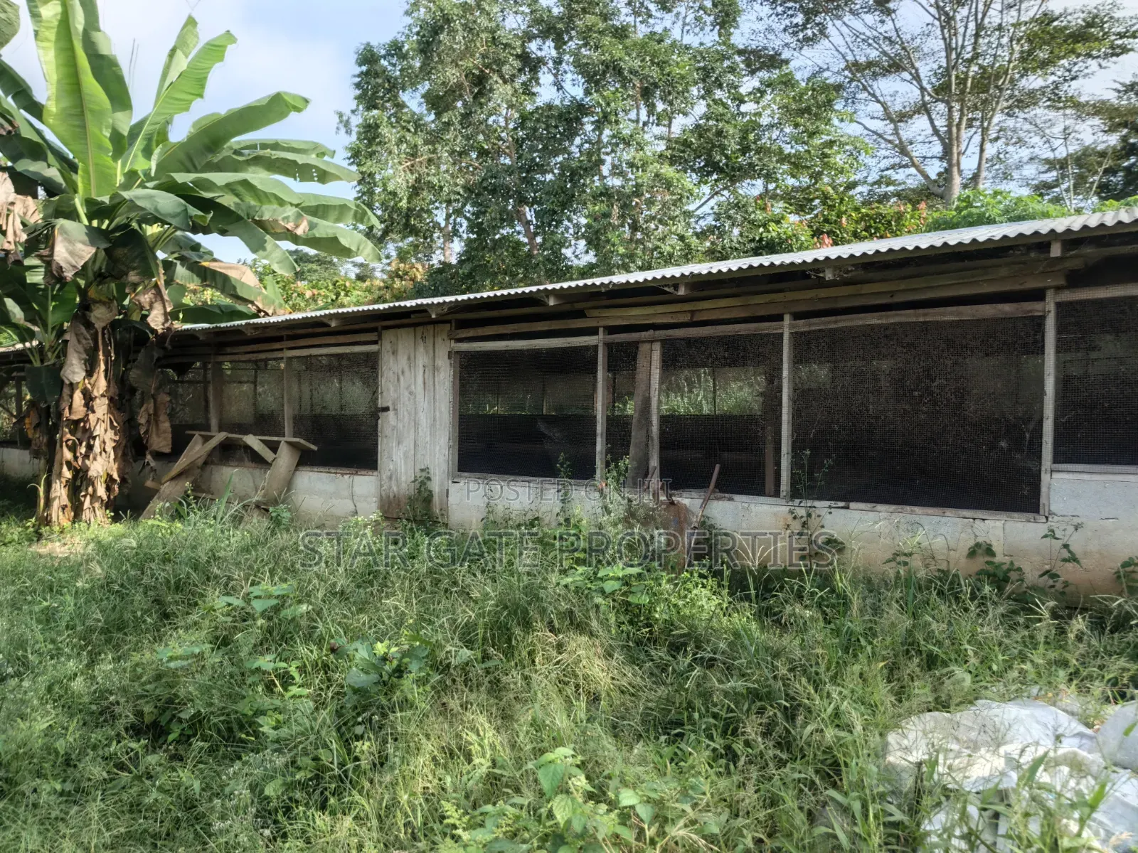 Poultry Farm Pig Farm for Sale ( 7 Acres Land)