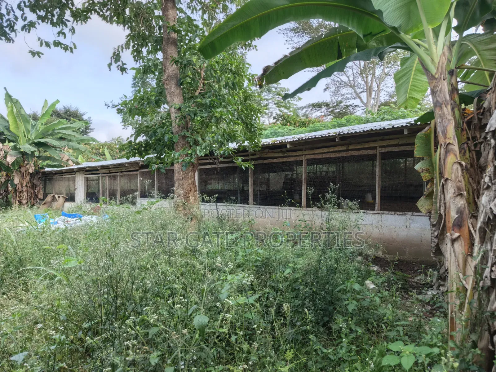 Poultry Farm Pig Farm for Sale ( 7 Acres Land)