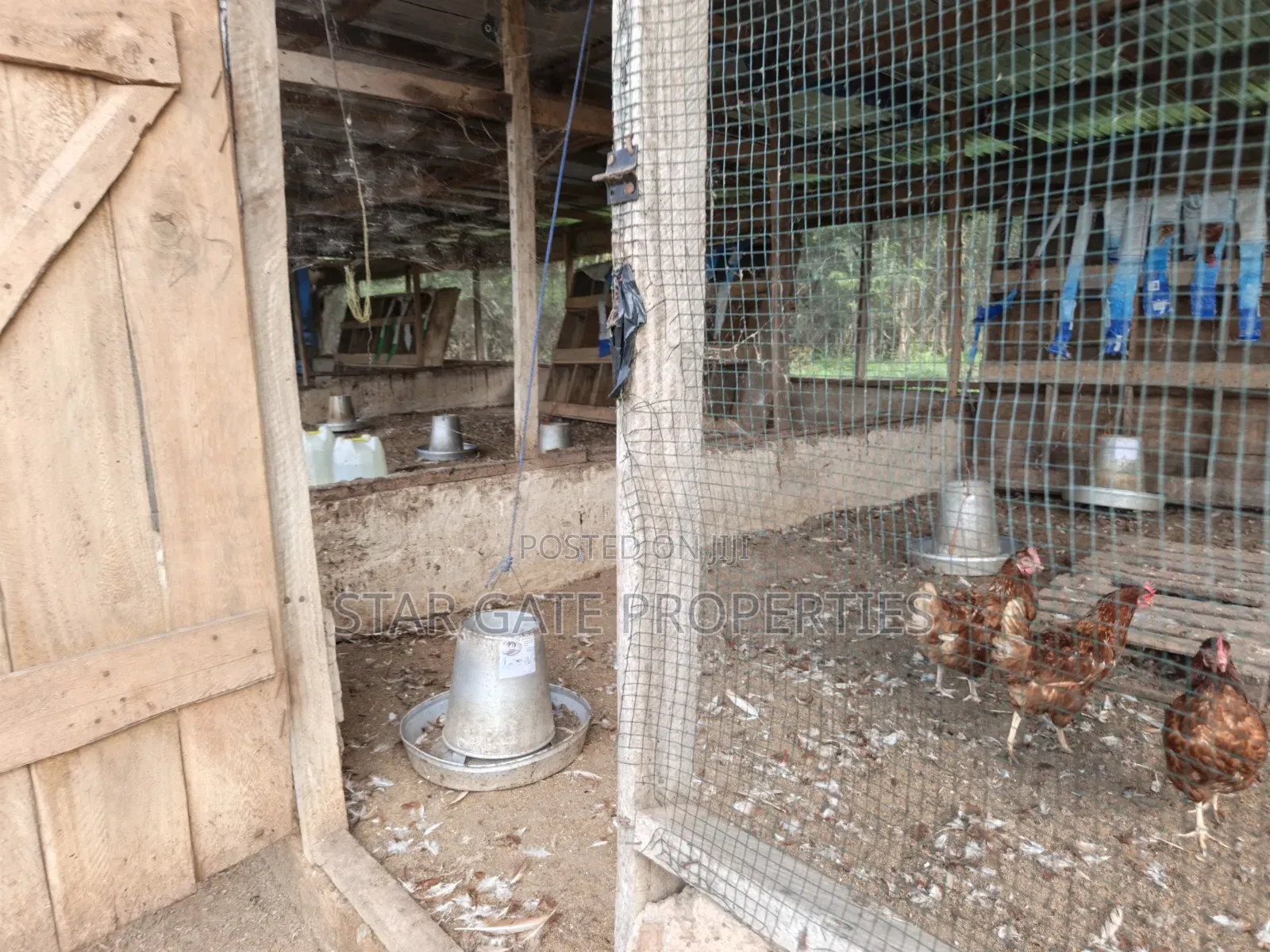 Poultry Farm Pig Farm for Sale ( 7 Acres Land)