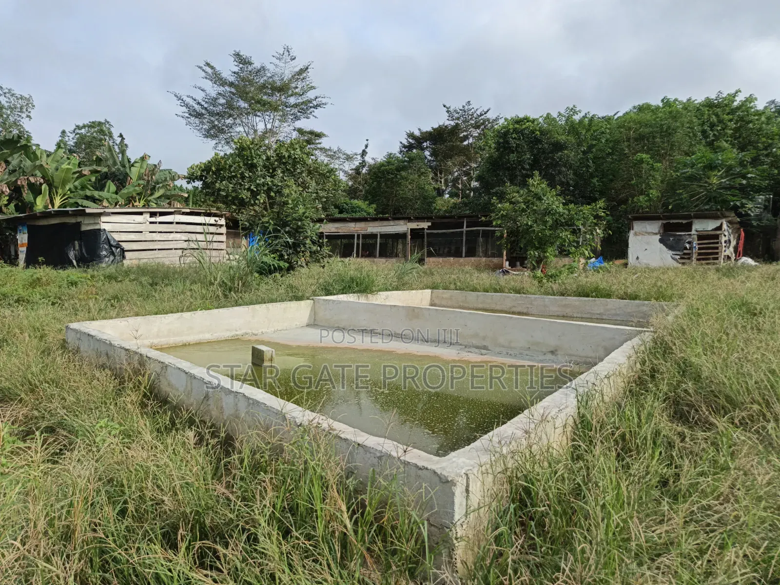 Poultry Farm Pig Farm for Sale ( 7 Acres Land)