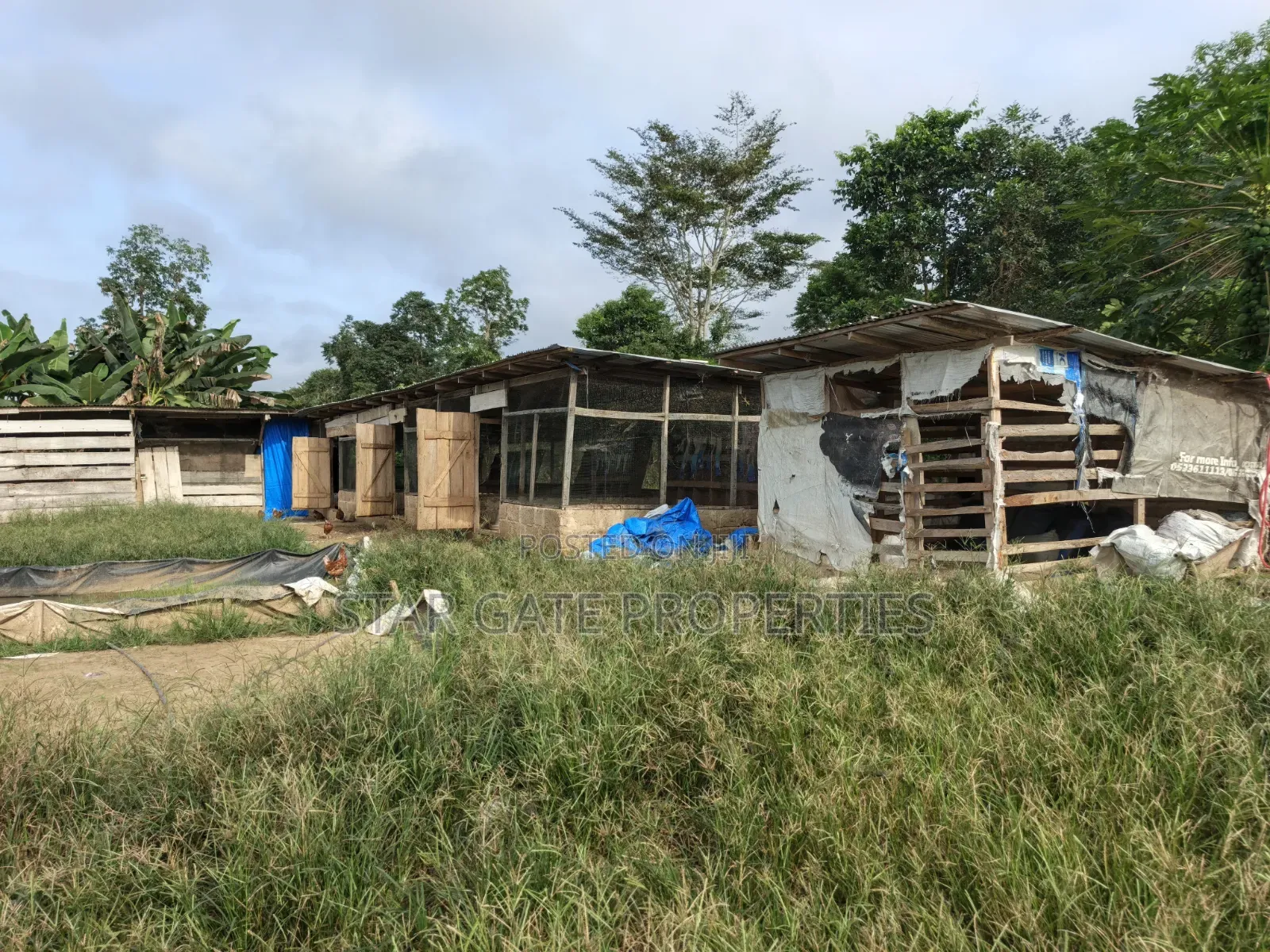 Poultry Farm Pig Farm for Sale ( 7 Acres Land)