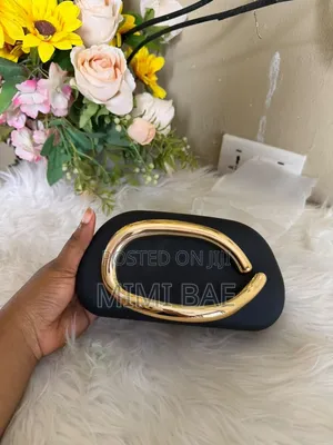 Ladies Elegant Luxury Bags