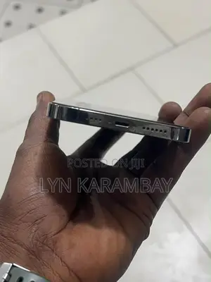 Apple iPhone 13 Pro Max 128 GB Gray