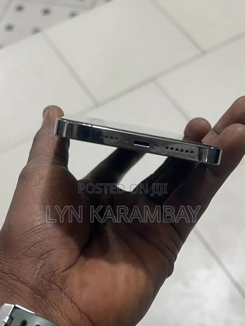 Apple iPhone 13 Pro Max 128 GB Gray