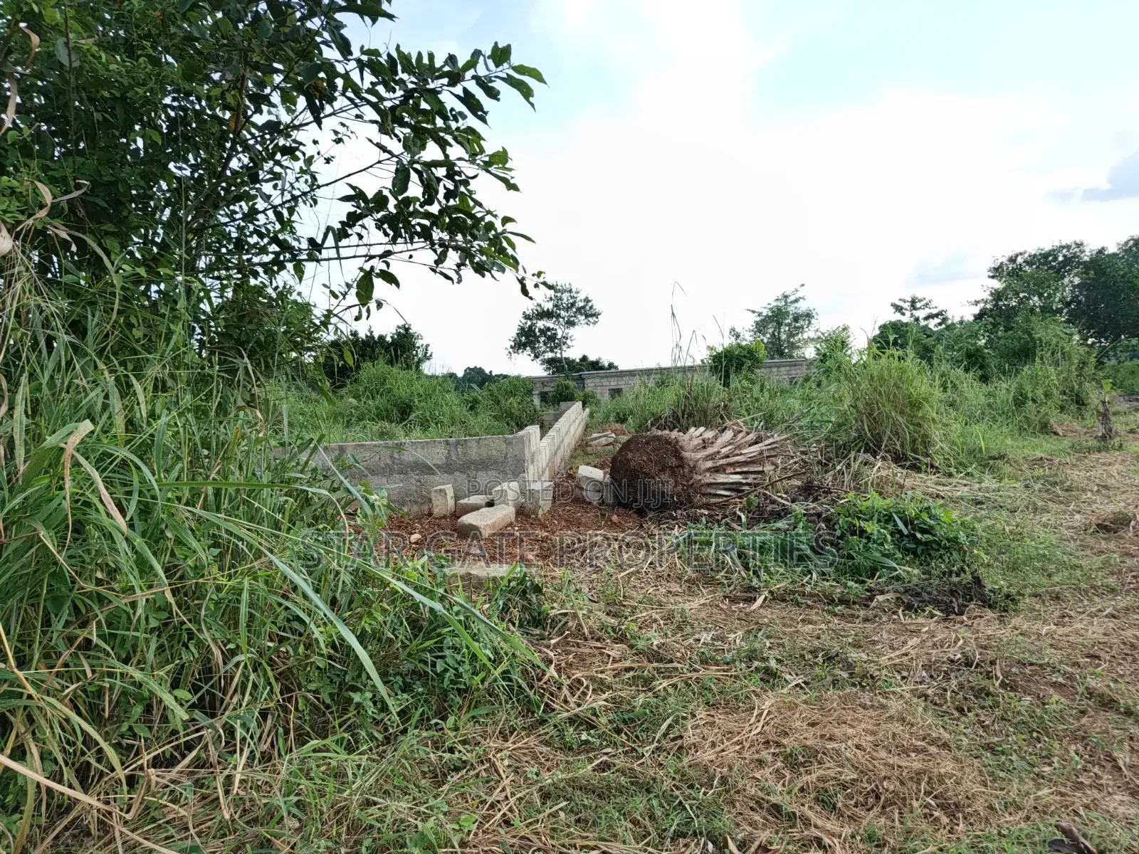 10 Plots for Sale at Barekese ( Near Agenda 111 Hospital)
