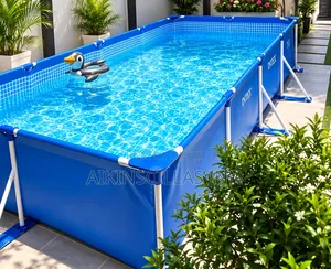 Intex 10ft Pool