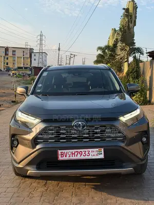 Toyota RAV4 XLE Premium AWD 2024 Gray
