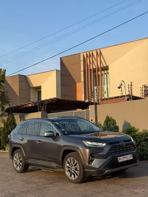 Toyota RAV4 XLE Premium AWD 2024 Gray