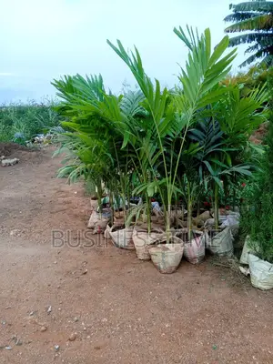 Gardening Services