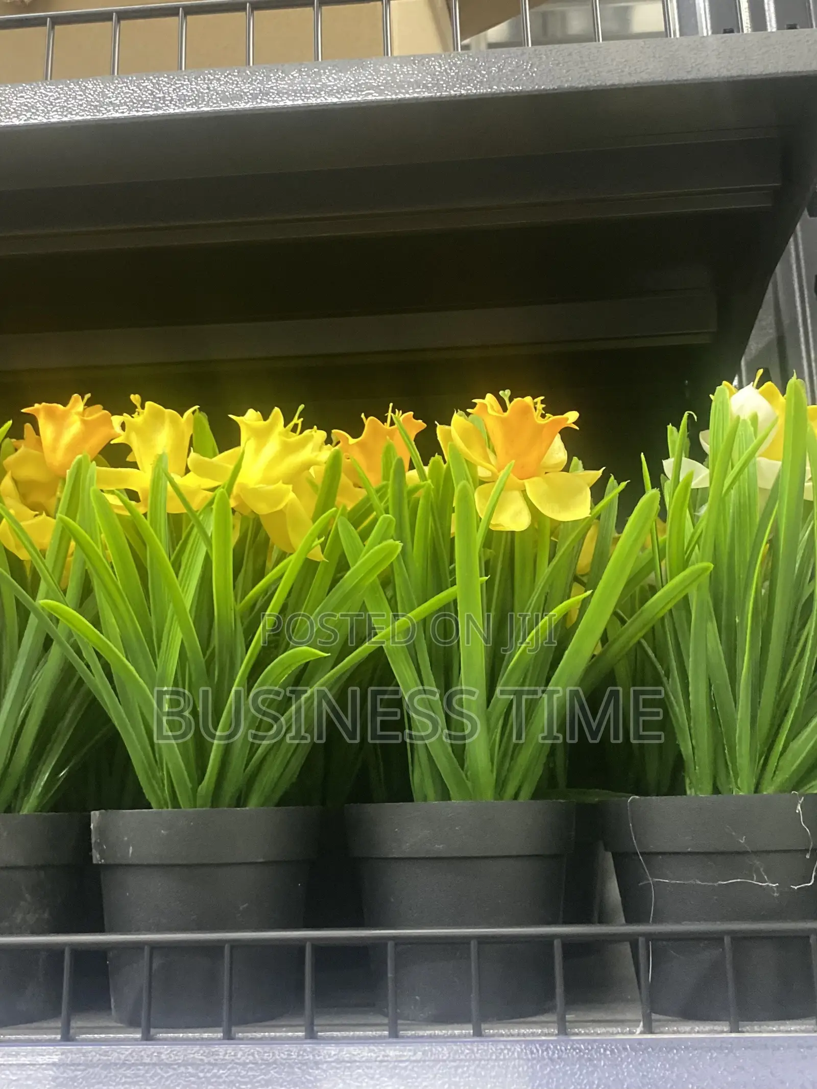 Gardening Services