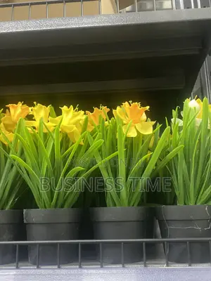 Gardening Services