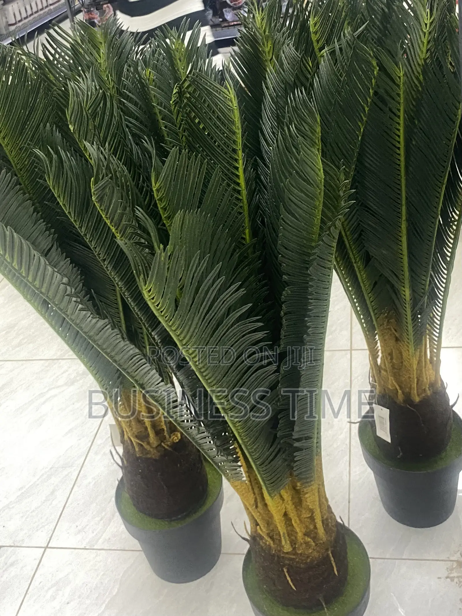 Gardening Services
