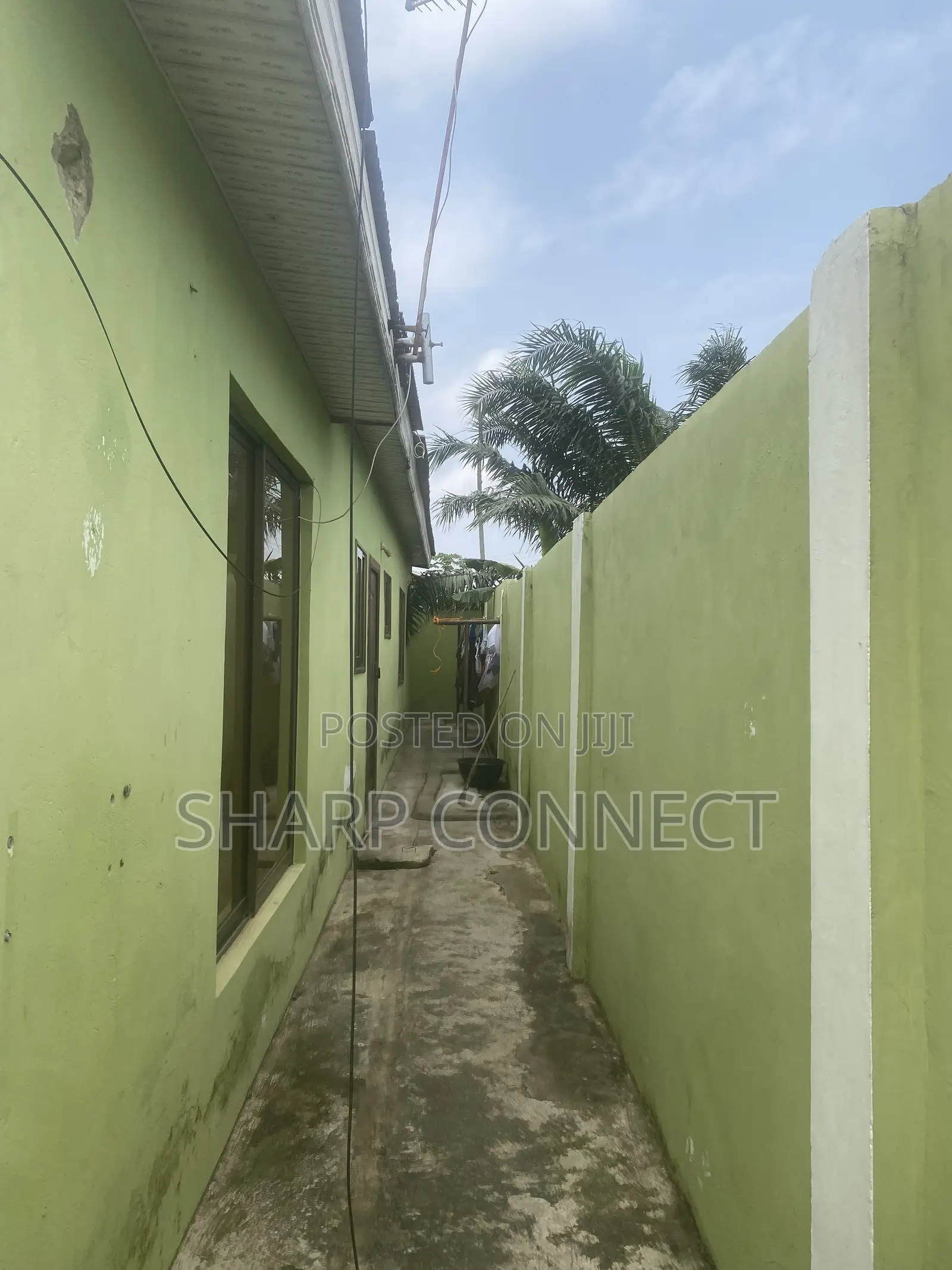 4bdrm House in Sharp-Connect., Galilea for rent