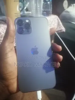 Apple iPhone 12 Pro Max 256 GB Gray